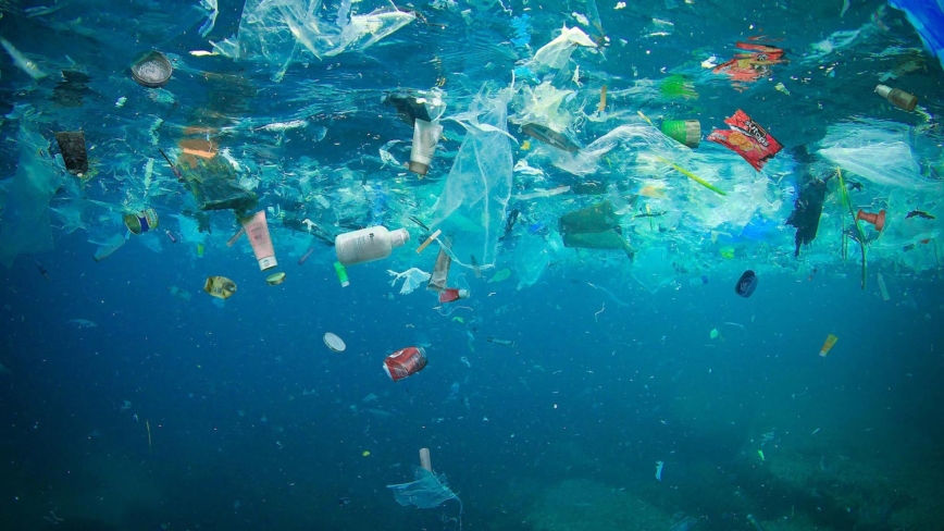 Radboud Universiteit